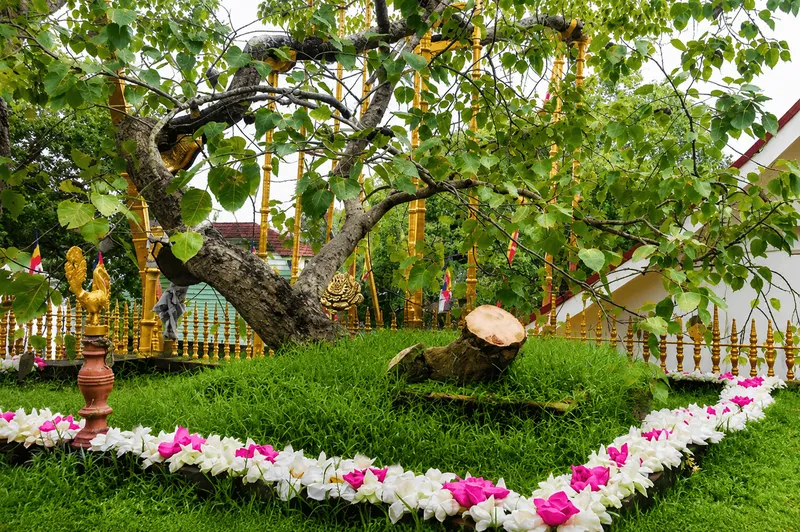 Anuradhapura Sacred Citadel Ruins