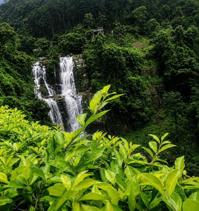Nuwara Eliya Waterfalls & Tea
